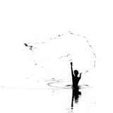 The Light Collector